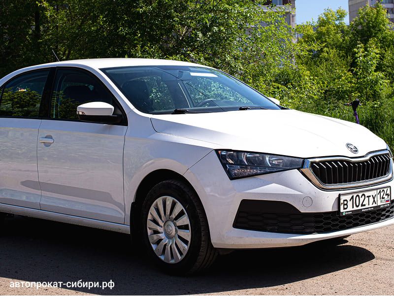 skoda rapid